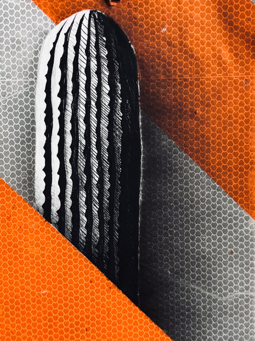CACTUS 1