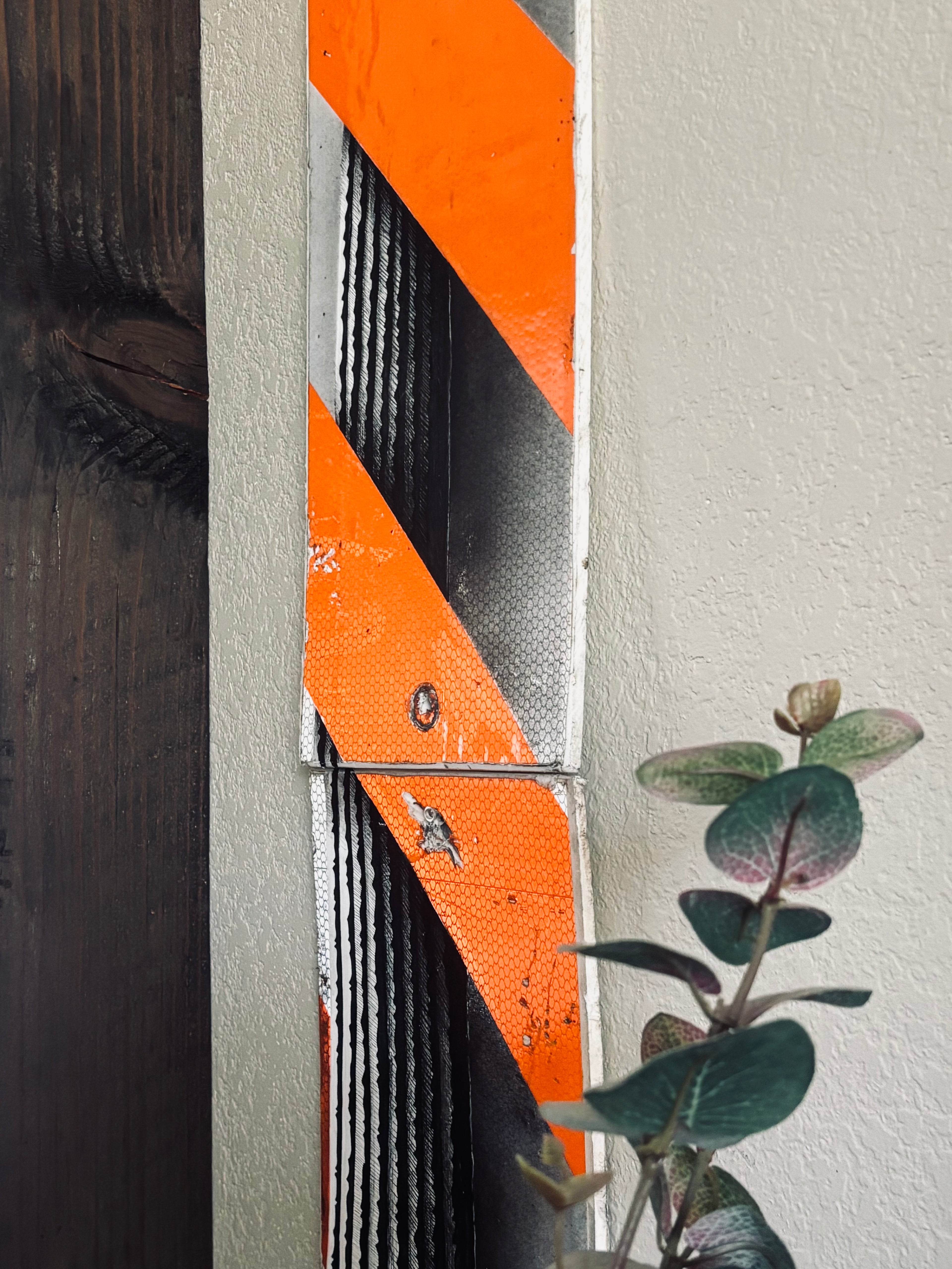 CACTUS 1